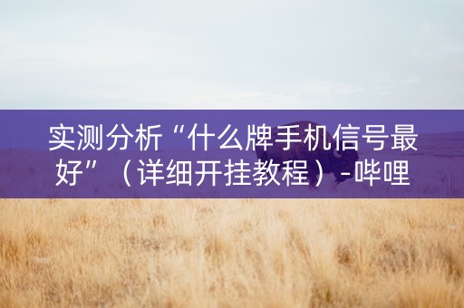 实测分析“什么牌手机信号最好”（详细开挂教程）-哔哩哔哩