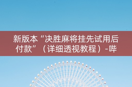 新版本“决胜麻将挂先试用后付款”（详细透视教程）-哔哩哔哩