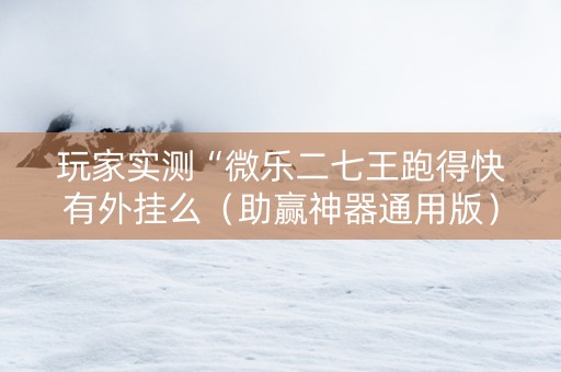 玩家实测“微乐二七王跑得快有外挂么（助赢神器通用版）