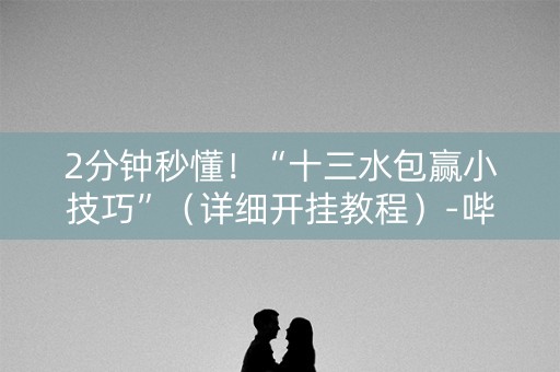 2分钟秒懂！“十三水包赢小技巧”（详细开挂教程）-哔哩哔哩