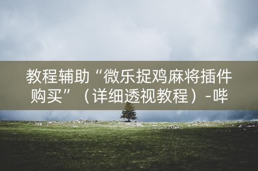 教程辅助“微乐捉鸡麻将插件购买”（详细透视教程）-哔哩哔哩