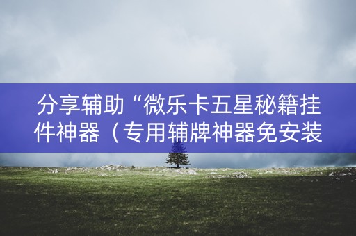 分享辅助“微乐卡五星秘籍挂件神器（专用辅牌神器免安装）