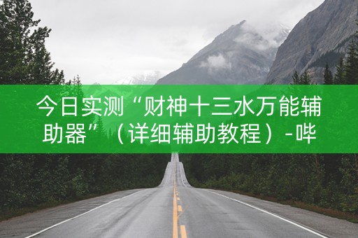 今日实测“财神十三水万能辅助器”（详细辅助教程）-哔哩哔哩