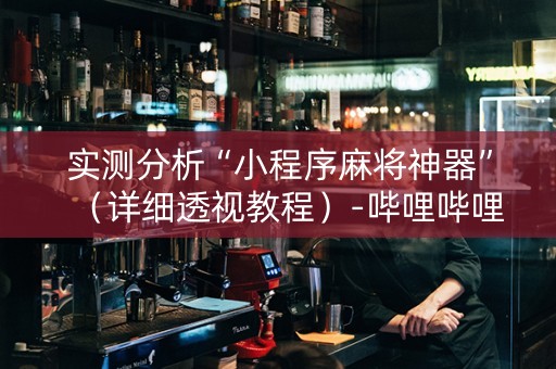 实测分析“小程序麻将神器”（详细透视教程）-哔哩哔哩