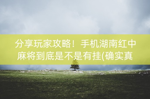分享玩家攻略！手机湖南红中麻将到底是不是有挂(确实真的有挂)