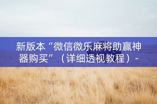 新版本“微信微乐麻将助赢神器购买”（详细透视教程）-哔哩哔哩