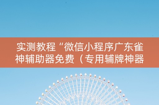 实测教程“微信小程序广东雀神辅助器免费（专用辅牌神器免安装）