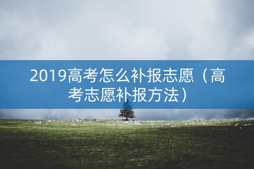 2019高考怎么补报志愿（高考志愿补报方法）