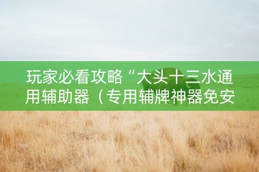 玩家必看攻略“大头十三水通用辅助器（专用辅牌神器免安装）