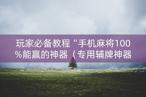 玩家必备教程“手机麻将100%能赢的神器（专用辅牌神器免安装）
