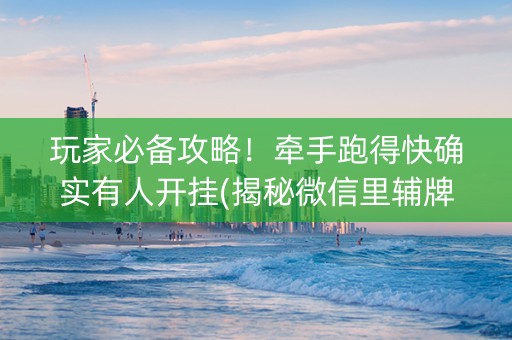 玩家必备攻略！牵手跑得快确实有人开挂(揭秘微信里辅牌器)