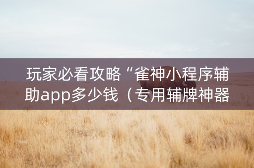 玩家必看攻略“雀神小程序辅助app多少钱（专用辅牌神器免安装）