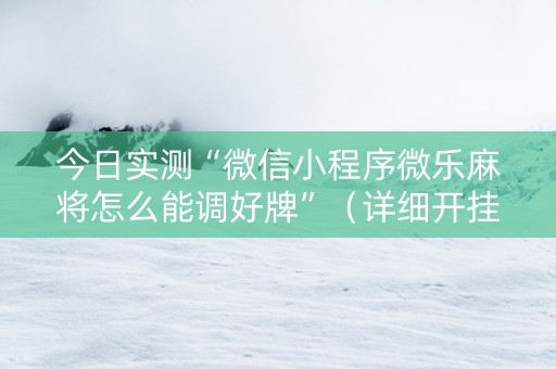 今日实测“微信小程序微乐麻将怎么能调好牌”（详细开挂教程）-哔哩哔哩