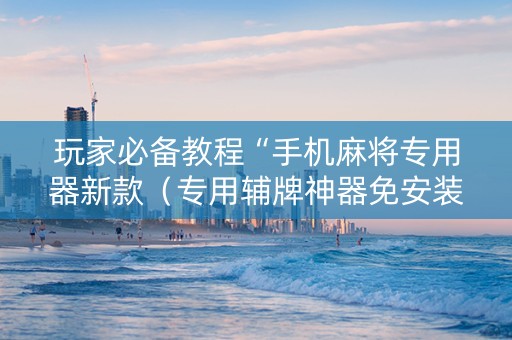 玩家必备教程“手机麻将专用器新款（专用辅牌神器免安装）