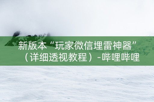 新版本“玩家微信埋雷神器”（详细透视教程）-哔哩哔哩