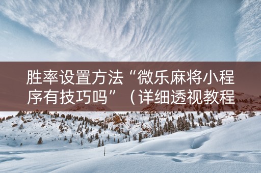 胜率设置方法“微乐麻将小程序有技巧吗”（详细透视教程）-哔哩哔哩