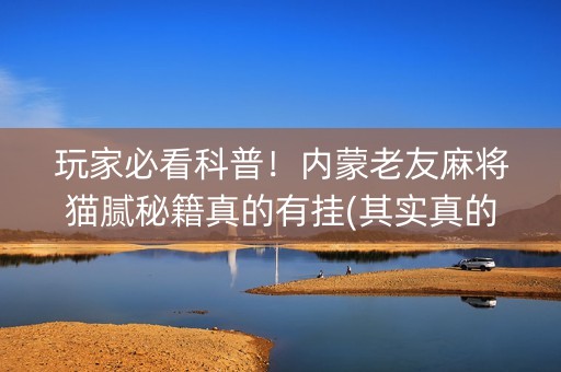 玩家必看科普！内蒙老友麻将猫腻秘籍真的有挂(其实真的有挂)
