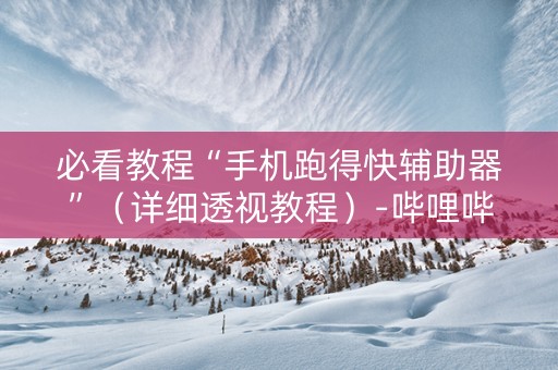 必看教程“手机跑得快辅助器”（详细透视教程）-哔哩哔哩