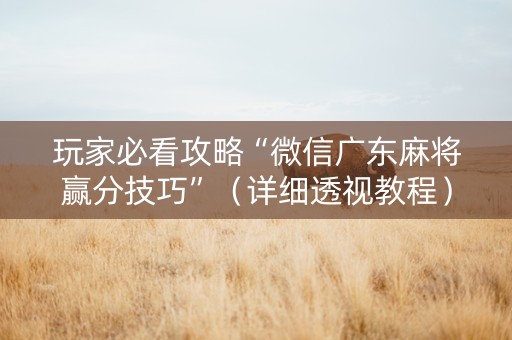 玩家必看攻略“微信广东麻将赢分技巧”（详细透视教程）-哔哩哔哩