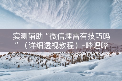 实测辅助“微信埋雷有技巧吗”（详细透视教程）-哔哩哔哩