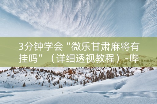 3分钟学会“微乐甘肃麻将有挂吗”（详细透视教程）-哔哩哔哩