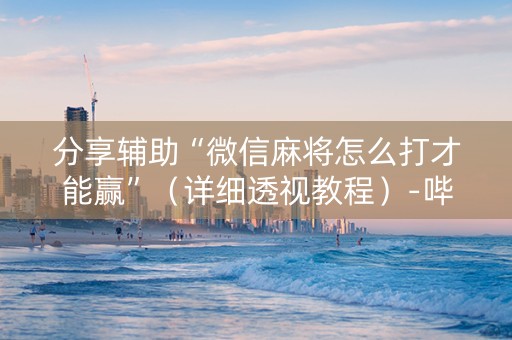 分享辅助“微信麻将怎么打才能赢”（详细透视教程）-哔哩哔哩