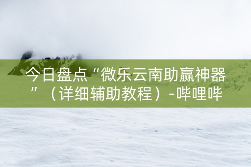 今日盘点“微乐云南助赢神器”（详细辅助教程）-哔哩哔哩