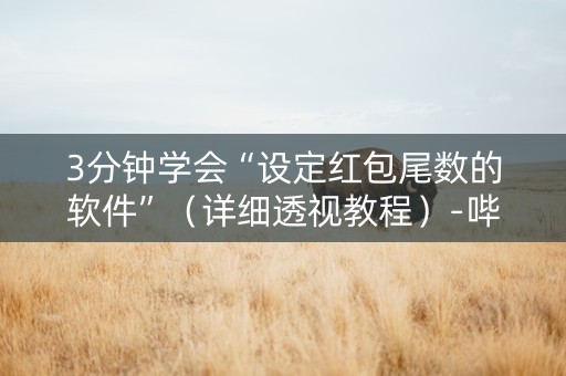 3分钟学会“设定红包尾数的软件”（详细透视教程）-哔哩哔哩
