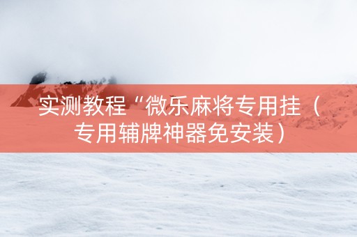 实测教程“微乐麻将专用挂（专用辅牌神器免安装）
