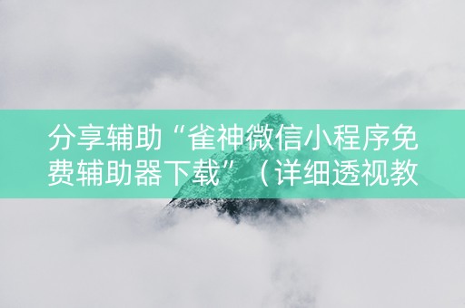分享辅助“雀神微信小程序免费辅助器下载”（详细透视教程）-哔哩哔哩