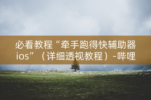 必看教程“牵手跑得快辅助器ios”（详细透视教程）-哔哩哔哩