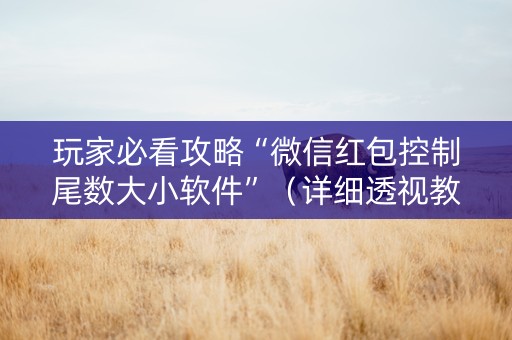 玩家必看攻略“微信红包控制尾数大小软件”（详细透视教程）-哔哩哔哩