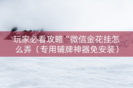 玩家必看攻略“微信金花挂怎么弄（专用辅牌神器免安装）
