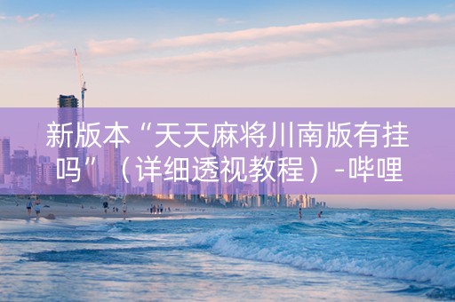 新版本“天天麻将川南版有挂吗”（详细透视教程）-哔哩哔哩