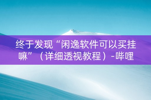 终于发现“闲逸软件可以买挂嘛”（详细透视教程）-哔哩哔哩