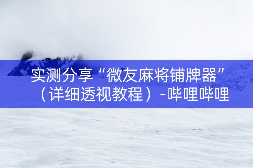 实测分享“微友麻将铺牌器”（详细透视教程）-哔哩哔哩