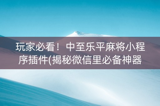 玩家必看！中至乐平麻将小程序插件(揭秘微信里必备神器)