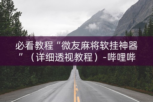 必看教程“微友麻将软挂神器”（详细透视教程）-哔哩哔哩