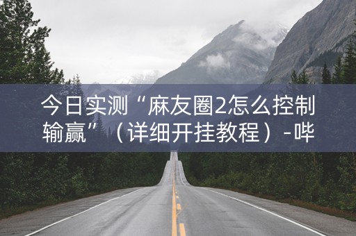今日实测“麻友圈2怎么控制输赢”（详细开挂教程）-哔哩哔哩