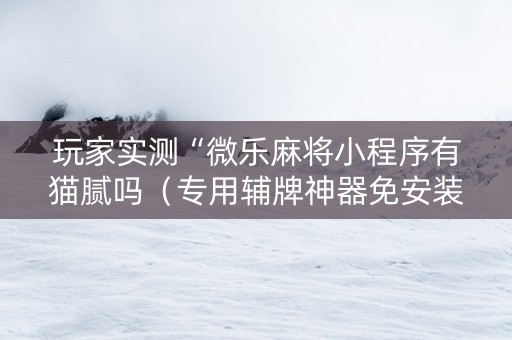 玩家实测“微乐麻将小程序有猫腻吗（专用辅牌神器免安装）