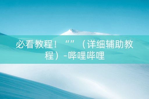 必看教程！“”（详细辅助教程）-哔哩哔哩