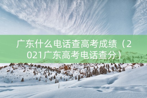 广东什么电话查高考成绩（2021广东高考电话查分）