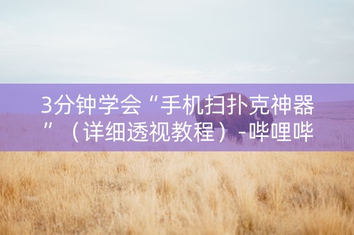 3分钟学会“手机扫扑克神器”（详细透视教程）-哔哩哔哩