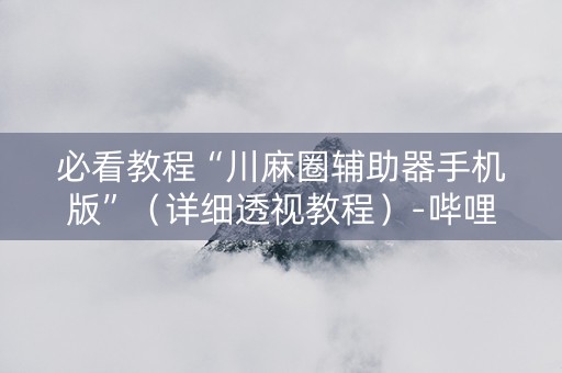 必看教程“川麻圈辅助器手机版”（详细透视教程）-哔哩哔哩