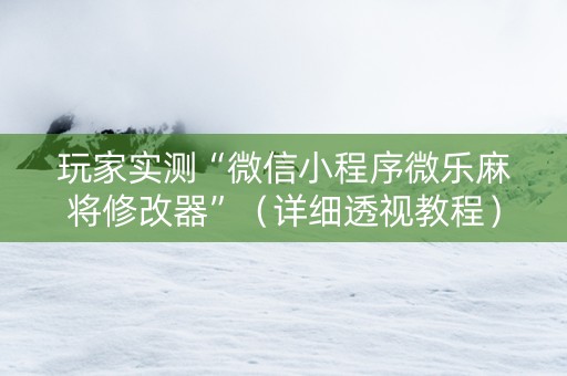 玩家实测“微信小程序微乐麻将修改器”（详细透视教程）-哔哩哔哩