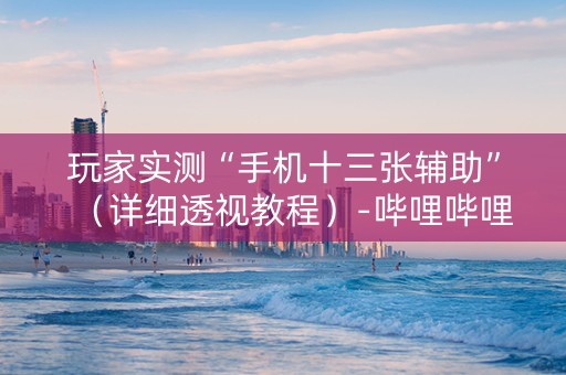 玩家实测“手机十三张辅助”（详细透视教程）-哔哩哔哩