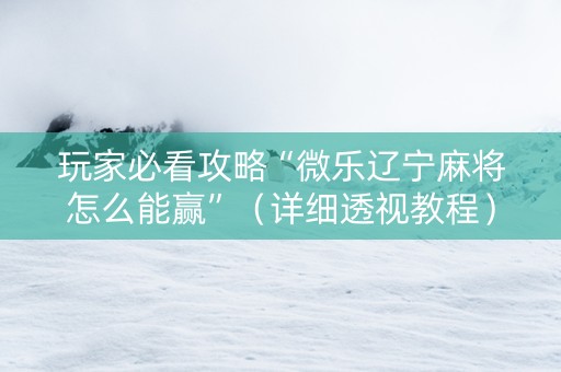 玩家必看攻略“微乐辽宁麻将怎么能赢”（详细透视教程）-哔哩哔哩