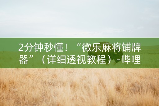 2分钟秒懂！“微乐麻将铺牌器”（详细透视教程）-哔哩哔哩