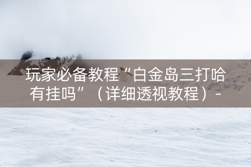 玩家必备教程“白金岛三打哈有挂吗”（详细透视教程）-哔哩哔哩