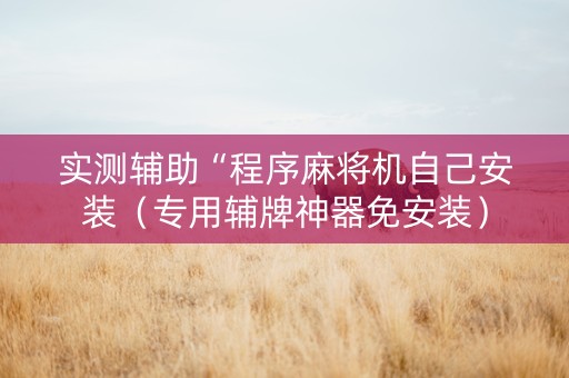 实测辅助“程序麻将机自己安装（专用辅牌神器免安装）